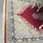 725 6360 CARPET